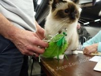 DSC06623 (NAMUR 26fev2017)
