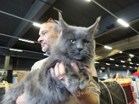 DSC06803 (NAMUR 26fev2017)