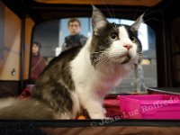 DSC06987 (NAMUR 26fev2017)