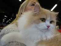 DSC07106 (NAMUR 26fev2017)