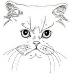logo_3