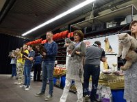 DSC08001 (ANDENNE 09-04-2017) (24)