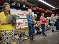 DSC08051 (ANDENNE 09-04-2017) (1)