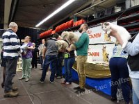 DSC09061 (ANDENNE 09-04-2017) (21)