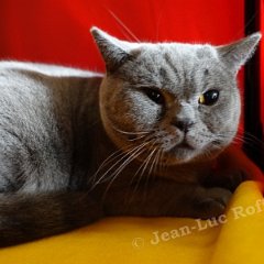 DSC01870 (Dison30oct2016)
