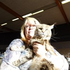 DSC02420 (Dison30oct2016)