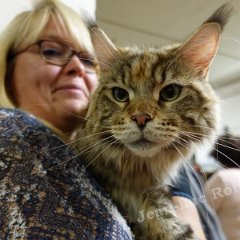 DSC02718 (Dison30oct2016)