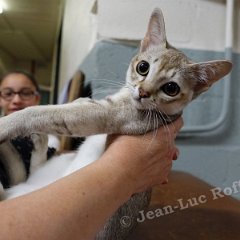 DSC02770 (Dison30oct2016)