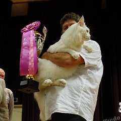 DSC03123 (Dison30oct2016)