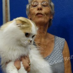 DSC03867 (LIEVIN28aout2016)