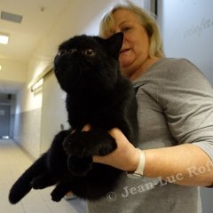 DSC06343 (HAMM2016)
