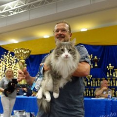 DSC06723 (HAMM2016)