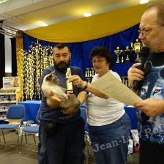 DSC07042 (HAMM2016)
