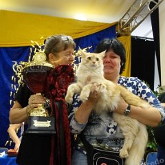 DSC07248 (HAMM2016)