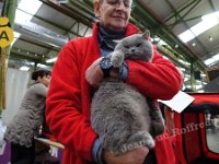 DSC01475 (MERELBEKE 15jan2017)