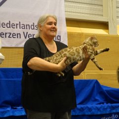 DSC08375 (LageZwaluwe02oct2016)