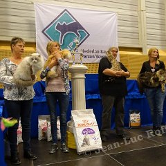 DSC08377 (LageZwaluwe02oct2016)