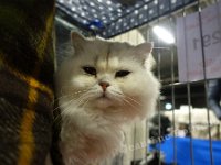 DSC05535 (HOUTEN 29jan2017)
