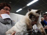 DSC06116 (HOUTEN 29jan2017)