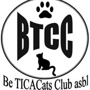 logo_BTCC_185