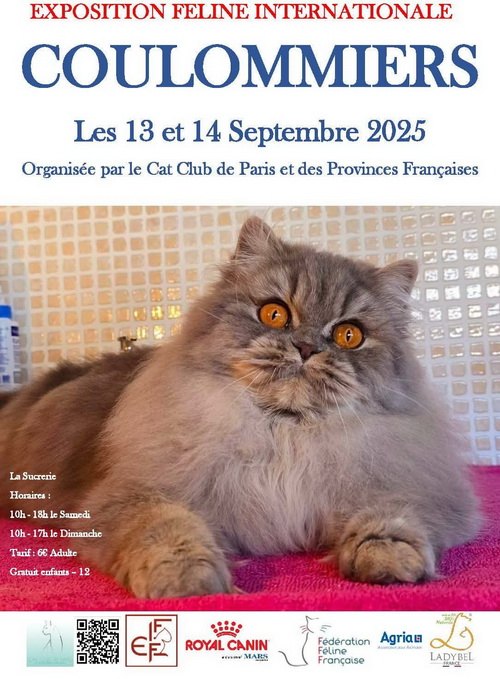 2025_09_FFF.jpg