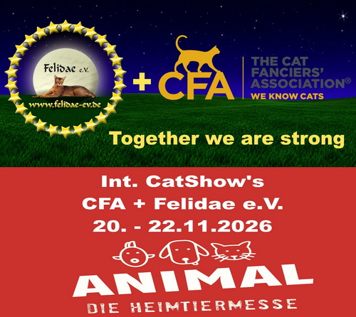 2026_11_felidae.jpg