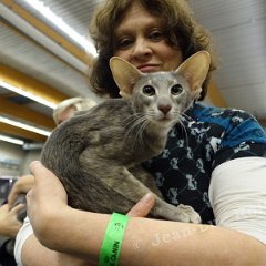 DSC05365 (HERSELT26nov2016)