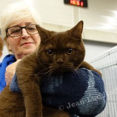 DSC05497 (HERSELT26nov2016)