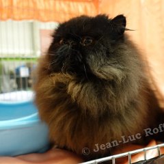 DSC05537 (HERSELT26nov2016)