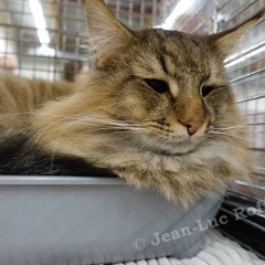DSC05555 (HERSELT26nov2016)