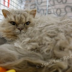 DSC05582 (HERSELT26nov2016)