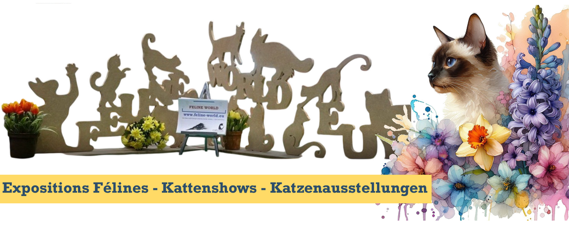 Expo_FWeu2