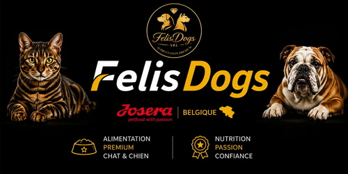 FELISDOGS_1.jpg