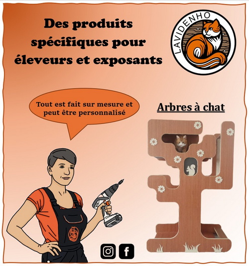 ROUSSEAUX_pub_7.jpg