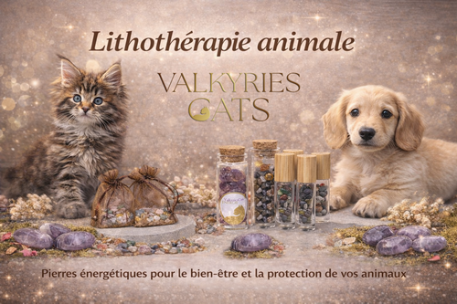 chatterie_ChatterieValkyriesNimy1.png