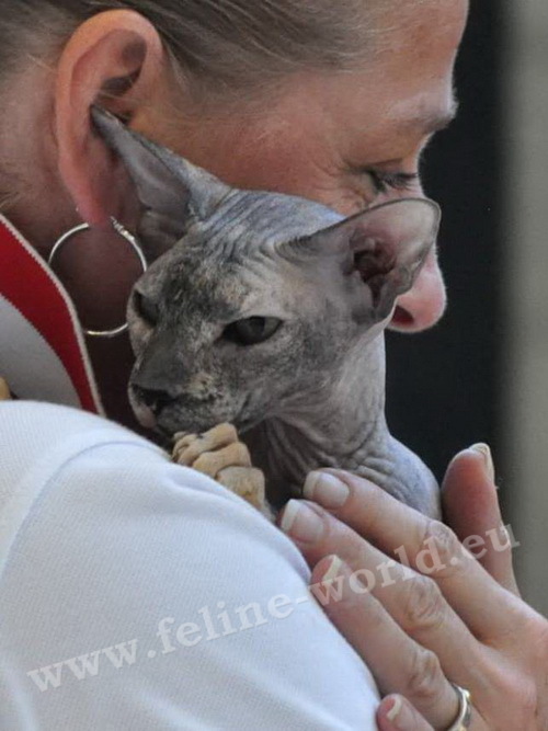 PETERBALD_26