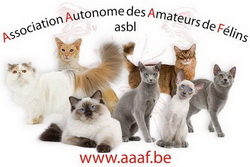 LOGO_AAAF_250