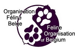 logo_OFB_000